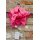 Kaschmir Bandana neon pink
