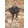 by basics Triangel anthrasite melange